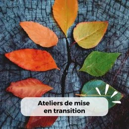 Ateliers sur-mesure