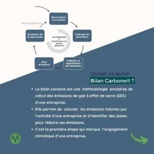 le bilan carbone de vitellin4 300x300