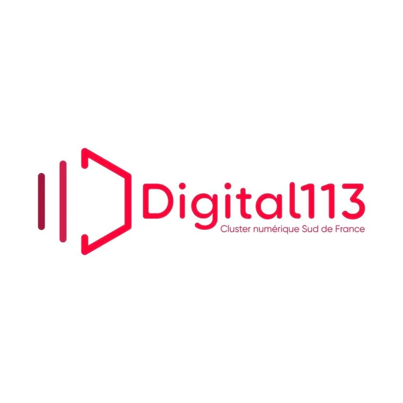 Digital 113